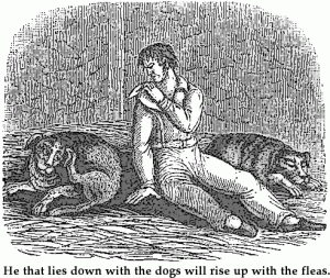 lie_with_dogs_get_fleas-300x253.png